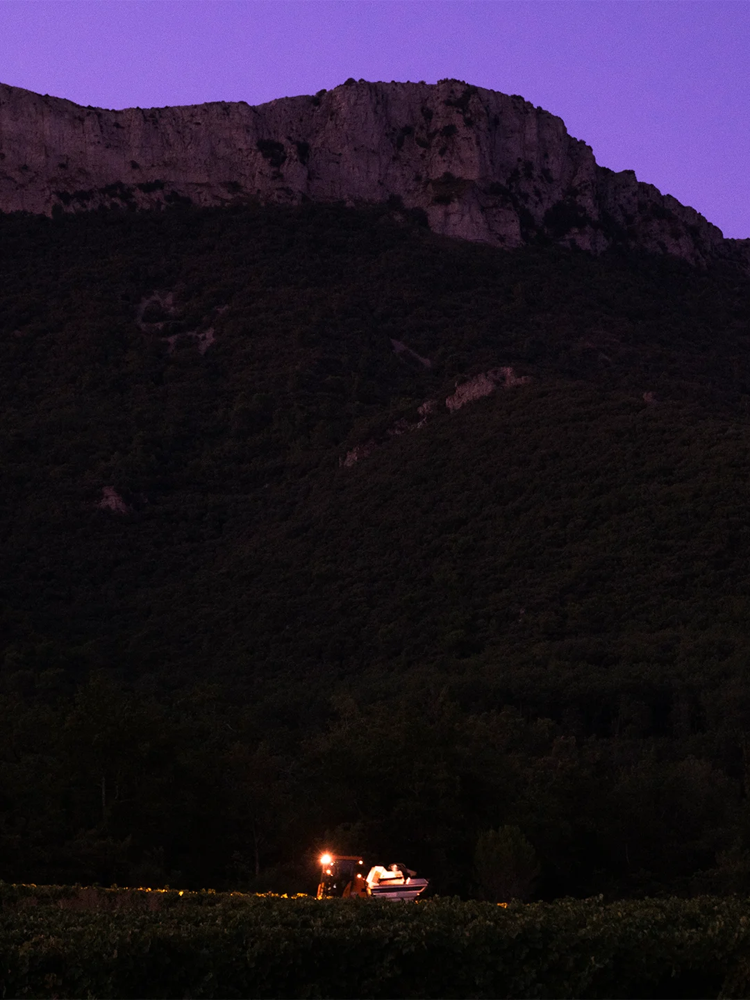Clos La Neuve, reportage photo vendanges Aix en Provence, RAAD Studio de Création